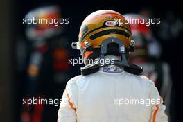 Stoffel Vandoorne (BEL) McLaren F1  15.04.2018. Formula 1 World Championship, Rd 3, Chinese Grand Prix, Shanghai, China, Race Day.