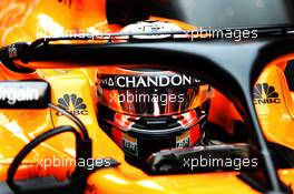 Stoffel Vandoorne (BEL) McLaren MCL33 on the grid. 27.05.2018. Formula 1 World Championship, Rd 6, Monaco Grand Prix, Monte Carlo, Monaco, Race Day.