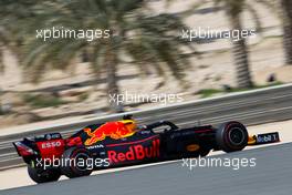Max Verstappen (NLD), Red Bull Racing  29.03.2019. Formula 1 World Championship, Rd 2, Bahrain Grand Prix, Sakhir, Bahrain, Practice Day