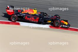 Pierre Gasly (FRA), Red Bull Racing  29.03.2019. Formula 1 World Championship, Rd 2, Bahrain Grand Prix, Sakhir, Bahrain, Practice Day