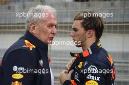 Helmut Marko (AUT) Red Bull Motorsport Consultant and Pierre Gasly (FRA) Red Bull Racing. 31.03.2019. Formula 1 World Championship, Rd 2, Bahrain Grand Prix, Sakhir, Bahrain, Race Day.