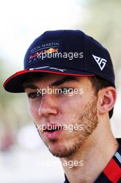 Pierre Gasly (FRA) Red Bull Racing. 28.03.2019. Formula 1 World Championship, Rd 2, Bahrain Grand Prix, Sakhir, Bahrain, Preparation Day.