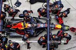 Max Verstappen (NLD) Red Bull Racing RB15 makes a pit stop. 14.04.2019. Formula 1 World Championship, Rd 3, Chinese Grand Prix, Shanghai, China, Race Day.