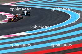 Pierre Gasly (FRA) Red Bull Racing RB15. 22.06.2019. Formula 1 World Championship, Rd 8, French Grand Prix, Paul Ricard, France, Qualifying Day.