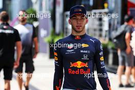Pierre Gasly (FRA) Red Bull Racing. 01.08.2019. Formula 1 World Championship, Rd 12, Hungarian Grand Prix, Budapest, Hungary, Preparation Day.