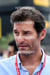 Mark Webber (AUS) Channel 4 Presenter. 07.09.2019. Formula 1 World Championship, Rd 14, Italian Grand Prix, Monza, Italy, Qualifying Day.