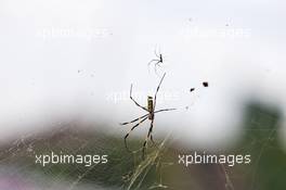 Circuit atmosphere - spider by the side of the track. 11.10.2019. Formula 1 World Championship, Rd 17, Japanese Grand Prix, Suzuka, Japan, Practice Day.