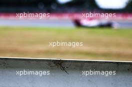 Circuit atmosphere - a spider on an armco barrier. 11.10.2019. Formula 1 World Championship, Rd 17, Japanese Grand Prix, Suzuka, Japan, Practice Day.