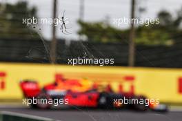 Alexander Albon (THA) Red Bull Racing RB15 passing a spider. 11.10.2019. Formula 1 World Championship, Rd 17, Japanese Grand Prix, Suzuka, Japan, Practice Day.