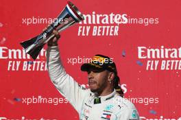 2nd place and new world champion Lewis Hamilton (GBR) Mercedes AMG F1 W10. 03.11.2019. Formula 1 World Championship, Rd 19, United States Grand Prix, Austin, Texas, USA, Race Day.