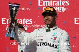 2nd place Lewis Hamilton (GBR) Mercedes AMG F1 W10 and new world champion. 03.11.2019. Formula 1 World Championship, Rd 19, United States Grand Prix, Austin, Texas, USA, Race Day.