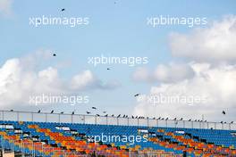 Circuit atmosphere - birds in the grandstand. 12.11.2020. Formula 1 World Championship, Rd 14, Turkish Grand Prix, Istanbul, Turkey, Preparation Day.
