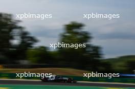 Daniel Ricciardo (AUS), Scuderia Alpha Tauri  21.07.2023. Formula 1 World Championship, Rd 12, Hungarian Grand Prix, Budapest, Hungary, Practice Day.