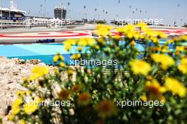 Logan Sargeant (USA) Williams Racing FW45. 24.02.2023. Formula 1 Testing, Sakhir, Bahrain, Day Two.