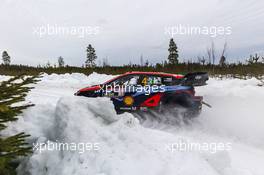 4, Esapekka Lappi, Janne Ferm, Hyundai Shell Mobis World Rally Team, Hyundai i20 N Rally1 HYBRID.  9-12.02.2023. FIA World Rally Championship, Rd 2, Rally Sweden, Uma, Sweden.