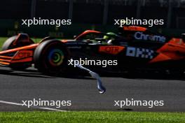 Lando Norris (GBR) McLaren MCL38 passes a bird. 22.03.2024. Formula 1 World Championship, Rd 3, Australian Grand Prix, Albert Park, Melbourne, Australia, Practice Day.