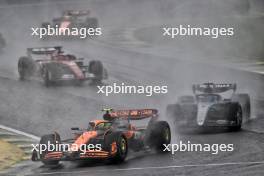 Lando Norris (GBR) McLaren MCL38. 03.11.2024. Formula 1 World Championship, Rd 21, Brazilian Grand Prix, Sao Paulo, Brazil, Race Day.