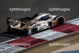 Will Stevens (GBR) / Callum Ilott (GBR) / Norman Nato (FRA) #12 Hertz Team Jota Porsche 963. 31.10.2024. FIA World Endurance Championship, Round 8, Eight Hours of Bahrain, Sakhir, Bahrain, Thursday.