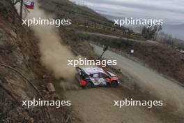 8, Ott Tanak, Martin Jarveoja, Hyundai Shell Mobis WRT, Hyundai i20 N Rally1.  26-09.09.2024. World Rally Championship, Rd 11, Concepcion, Chile. www.xpbimages.com, EMail: requests@xpbimages.com © Copyright: XPB Images