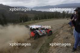 8, Ott Tanak, Martin Jarveoja, Hyundai Shell Mobis WRT, Hyundai i20 N Rally1.  26-09.09.2024. World Rally Championship, Rd 11, Concepcion, Chile. www.xpbimages.com, EMail: requests@xpbimages.com © Copyright: XPB Images