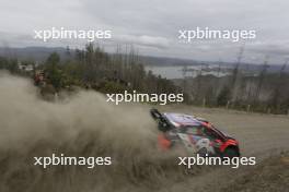 11, Thierry Neuville Martijn Wydaeghe, Hyundai i20 N Rally1 HYBRID.  26-09.09.2024. World Rally Championship, Rd 11, Concepcion, Chile. www.xpbimages.com, EMail: requests@xpbimages.com © Copyright: XPB Images