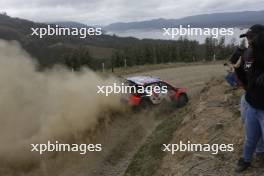 8, Ott Tanak, Martin Jarveoja, Hyundai Shell Mobis WRT, Hyundai i20 N Rally1.  26-09.09.2024. World Rally Championship, Rd 11, Concepcion, Chile. www.xpbimages.com, EMail: requests@xpbimages.com © Copyright: XPB Images