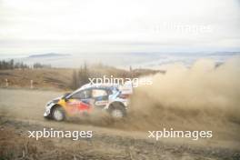 13, Gregoire Munster, Louis Louka,M-Sport Ford WRT, Ford Puma Rally1 HYBRID.  26-09.09.2024. World Rally Championship, Rd 11, Concepcion, Chile. www.xpbimages.com, EMail: requests@xpbimages.com © Copyright: XPB Images