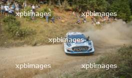 13, Gregoire Munster, Louis Louka,M-Sport Ford WRT, Ford Puma Rally1 HYBRID.  05-08.09.2024. World Rally Championship, Rd 10, Acropolis  Rally Greece, Lamia. www.xpbimages.com, EMail: requests@xpbimages.com © Copyright: XPB Images